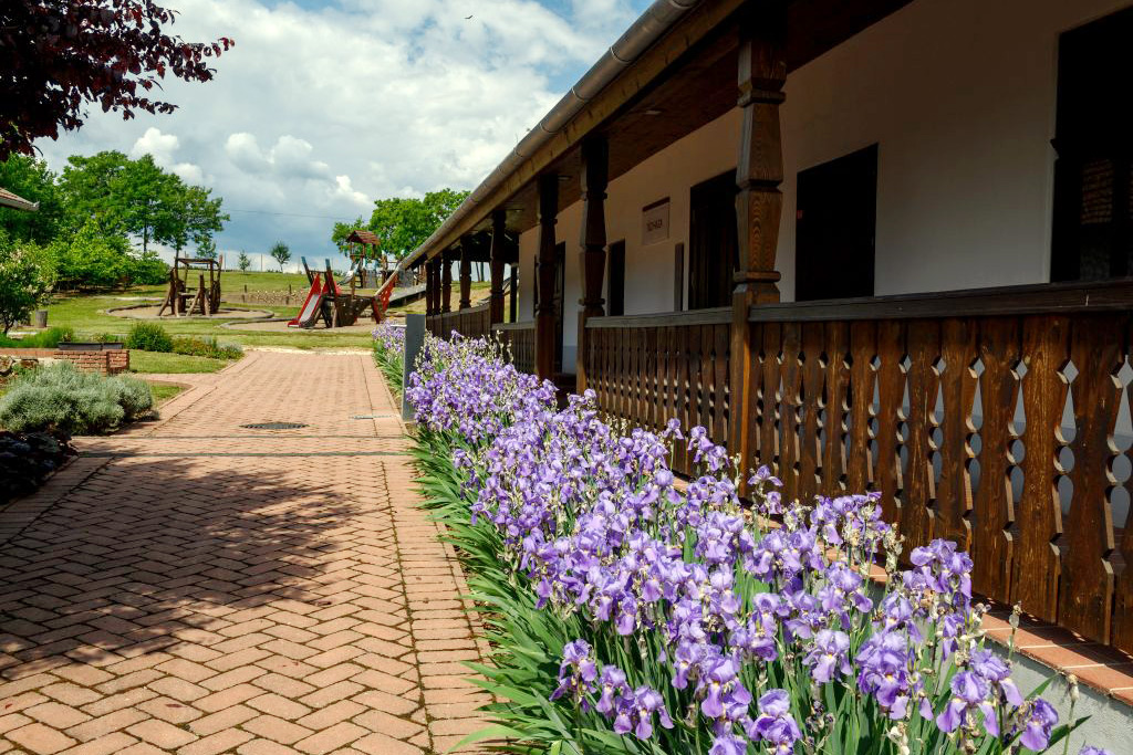 kozepkori vartura sarazsadanyi muzeum